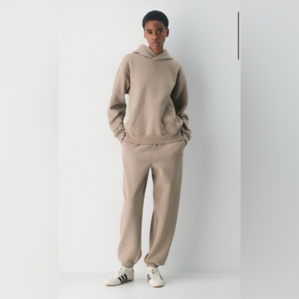 Aritzia Taupe Sweatfleece Set: Raglan Sweatshirt  & Sweatpants